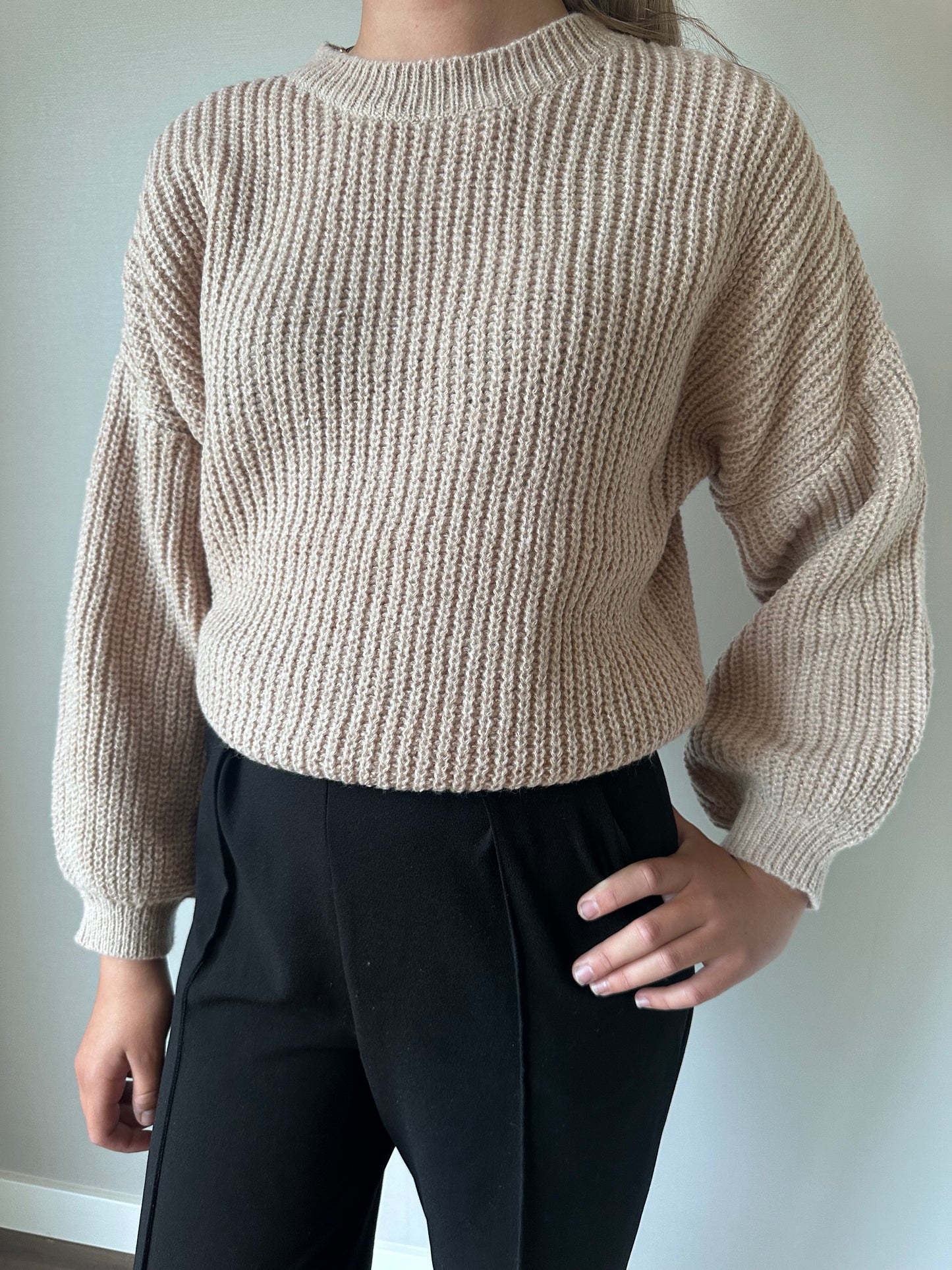 Gebreide Truien in Trendkleuren